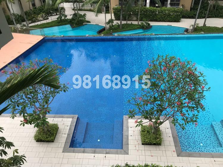 Terrasse (D19), Condominium #170849472